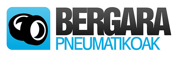 Bergara Pneumatikoak